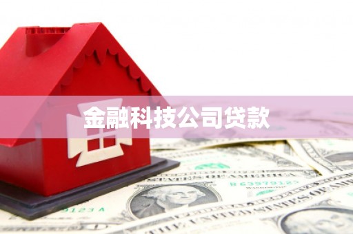 温泉金融科技公司贷款