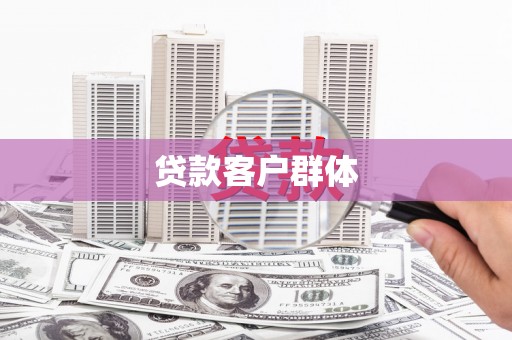 贾汪贷款客户群体