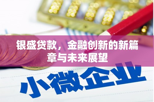 云南银盛贷款，金融创新的新篇章与未来展望