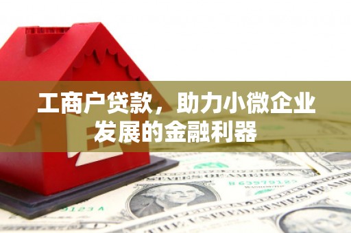 巴青工商户贷款，助力小微企业发展的金融利器