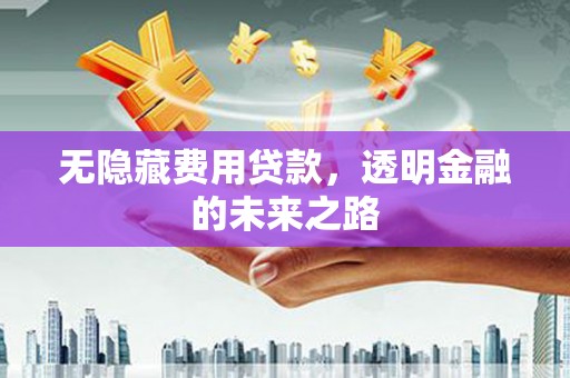 哈尔滨无隐藏费用贷款，透明金融的未来之路
