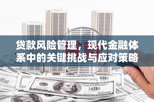 上林贷款风险管理，现代金融体系中的关键挑战与应对策略