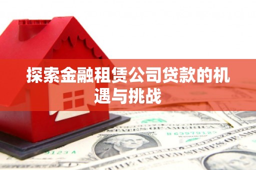 鹿野探索金融租赁公司贷款的机遇与挑战