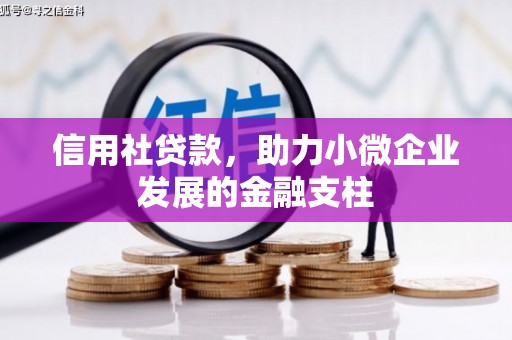枋寮信用社贷款，助力小微企业发展的金融支柱