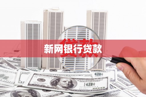 盐田新网银行贷款