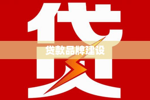 金平贷款品牌建设
