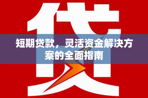 大林短期贷款，灵活资金解决方案的全面指南