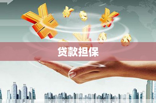 勉县贷款担保