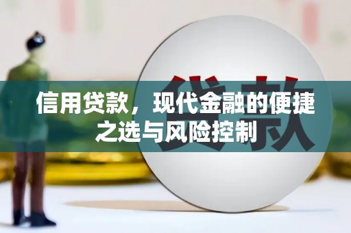 黄骅信用贷款，现代金融的便捷之选与风险控制