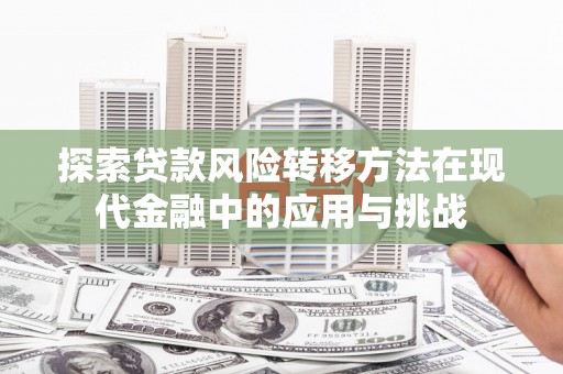 云霄探索贷款风险转移方法在现代金融中的应用与挑战