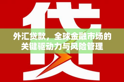 花地玛堂区外汇贷款，全球金融市场的关键驱动力与风险管理
