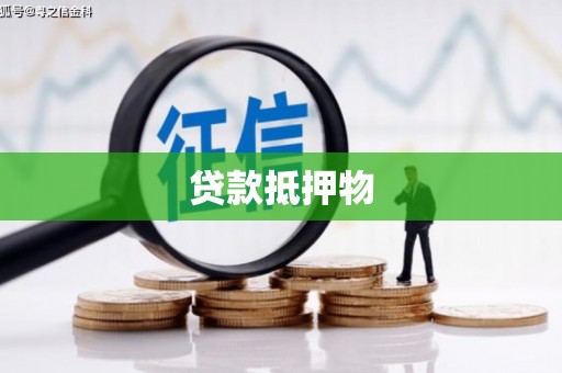 大厂贷款抵押物