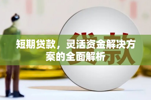 安定短期贷款，灵活资金解决方案的全面解析