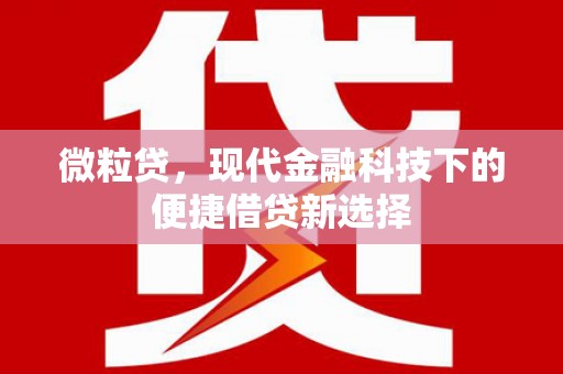 岱岳微粒贷，现代金融科技下的便捷借贷新选择