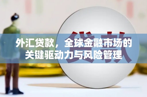 镇雄外汇贷款，全球金融市场的关键驱动力与风险管理