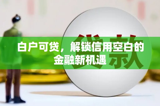 士林白户可贷，解锁信用空白的金融新机遇