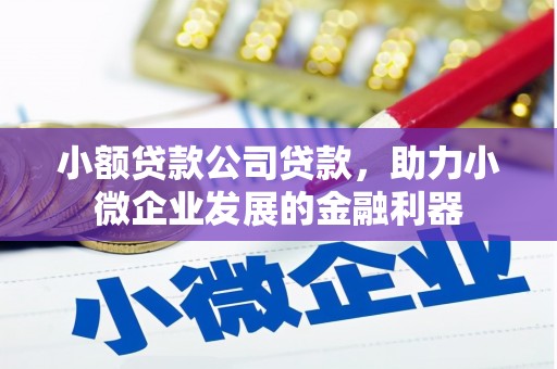 迭部小额贷款公司贷款，助力小微企业发展的金融利器