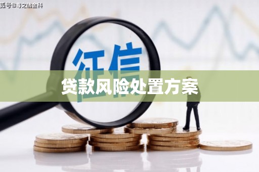 德令哈贷款风险处置方案