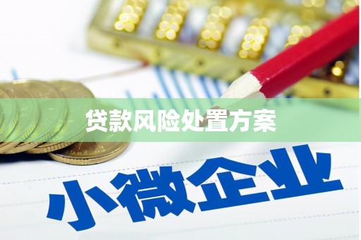 东方贷款风险处置方案