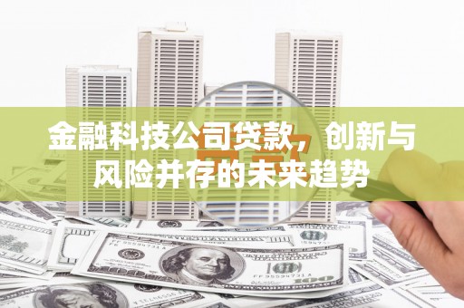 洛宁金融科技公司贷款，创新与风险并存的未来趋势