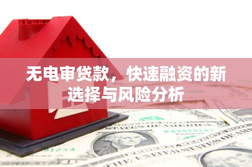 涞水无电审贷款，快速融资的新选择与风险分析
