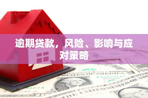 颍州逾期贷款，风险、影响与应对策略