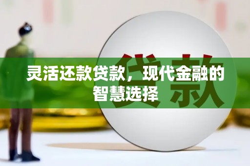 巴楚灵活还款贷款，现代金融的智慧选择