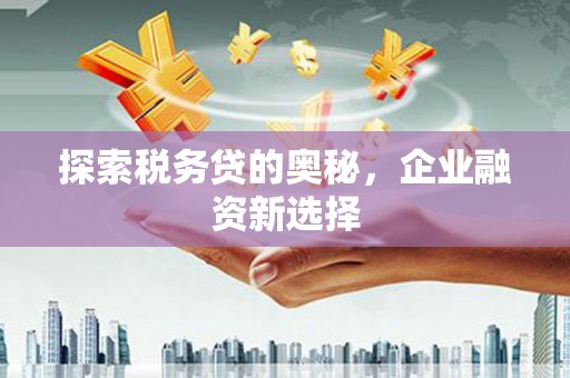 岳塘探索税务贷的奥秘，企业融资新选择
