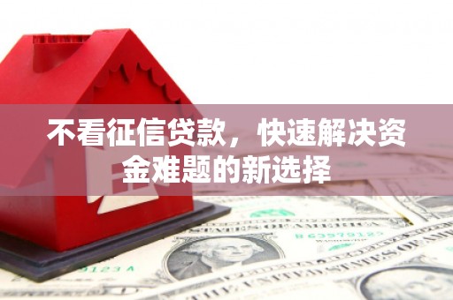 白水不看征信贷款，快速解决资金难题的新选择