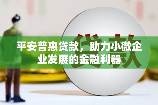 普洱平安普惠贷款，助力小微企业发展的金融利器