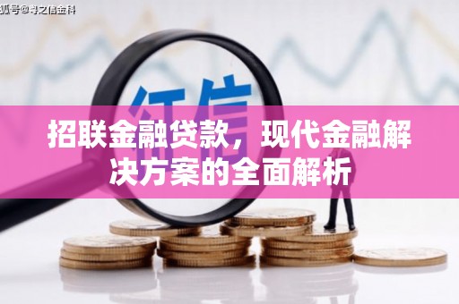 南京招联金融贷款，现代金融解决方案的全面解析