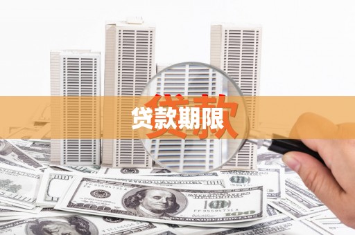 莱山贷款期限