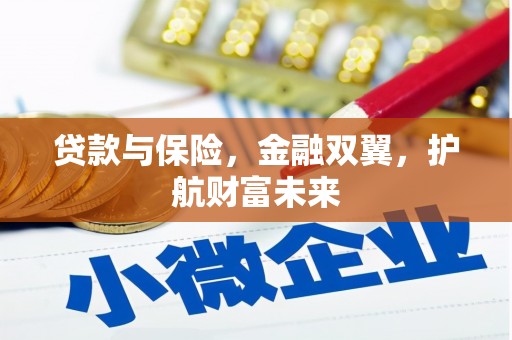 边坝贷款与保险，金融双翼，护航财富未来