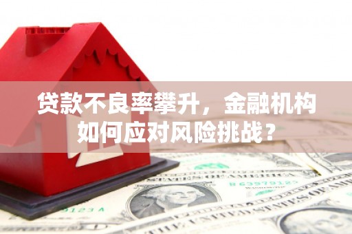 竹崎贷款不良率攀升，金融机构如何应对风险挑战？