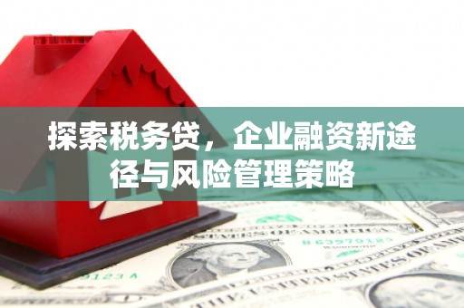 邱县探索税务贷，企业融资新途径与风险管理策略