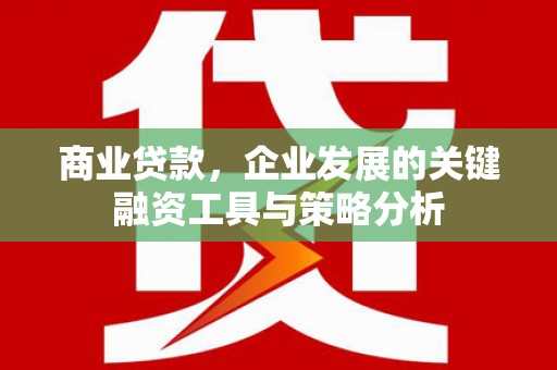 颍泉商业贷款，企业发展的关键融资工具与策略分析
