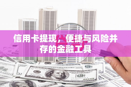 镇康信用卡提现，便捷与风险并存的金融工具