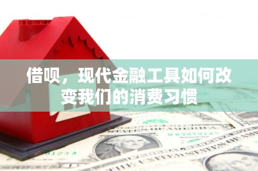 松桃借呗，现代金融工具如何改变我们的消费习惯