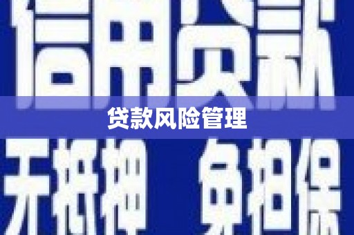 且末贷款风险管理