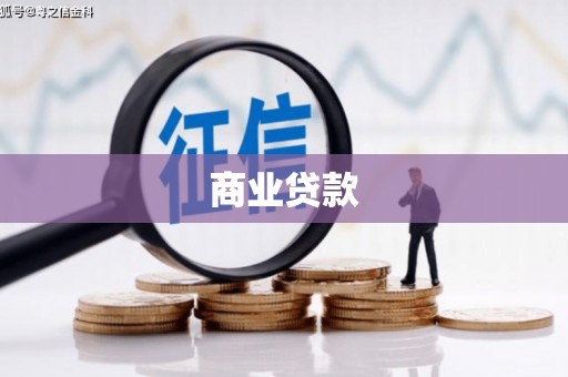仁爱商业贷款