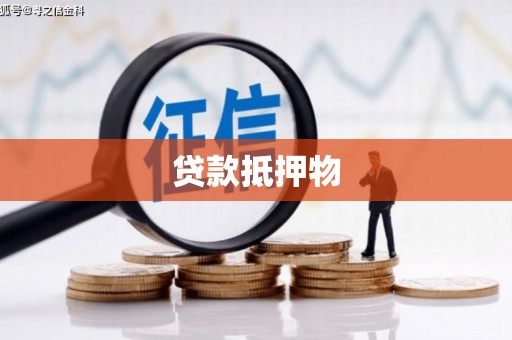 连平贷款抵押物