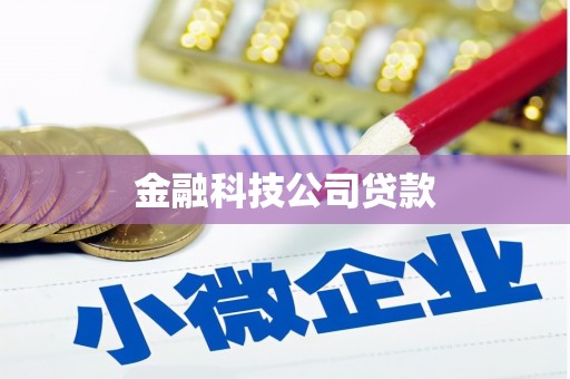 楠西金融科技公司贷款