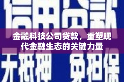 滑县金融科技公司贷款，重塑现代金融生态的关键力量