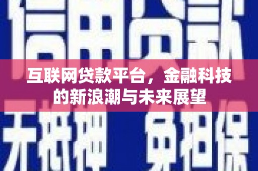 和田县互联网贷款平台，金融科技的新浪潮与未来展望