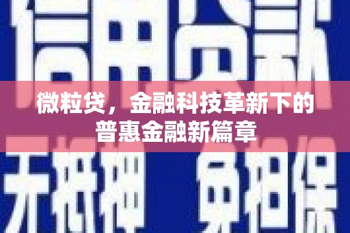长洲微粒贷，金融科技革新下的普惠金融新篇章
