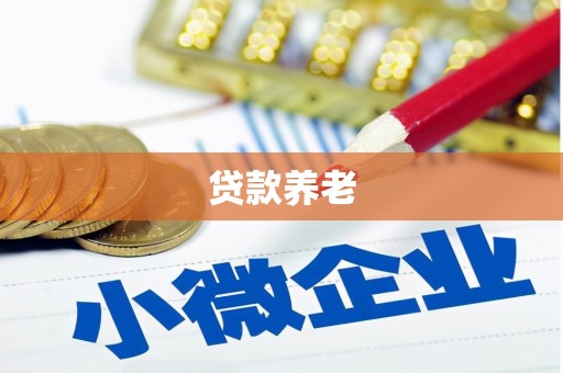 福贡贷款养老