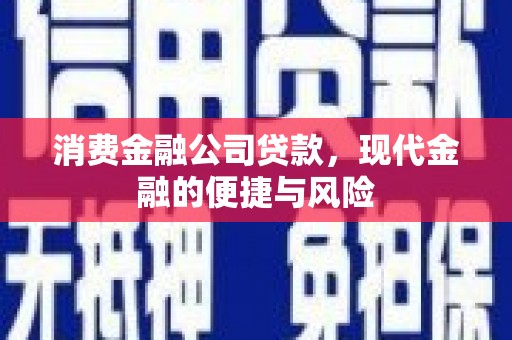 南召消费金融公司贷款，现代金融的便捷与风险