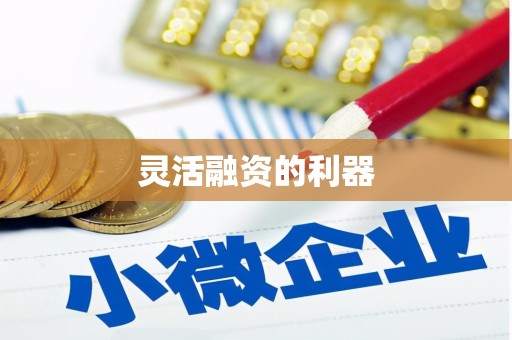 黑龙江灵活融资的利器
