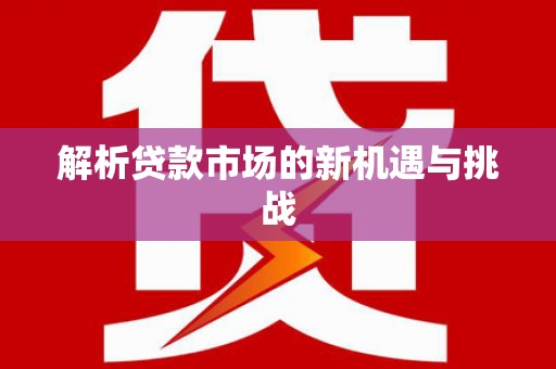 滨海解析贷款市场的新机遇与挑战